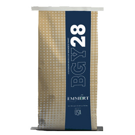 Bag of BGY 28