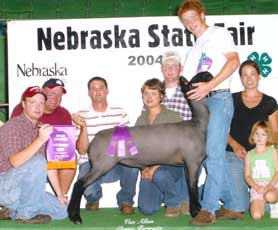 Grand Champion Market Lamb