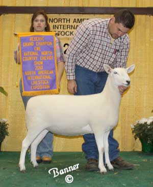 North American Livestock Exchange 2010