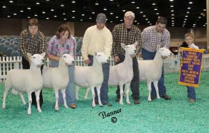 North American Livestock Exchange 2010