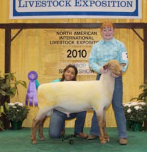 North American Livestock Exchange 2010