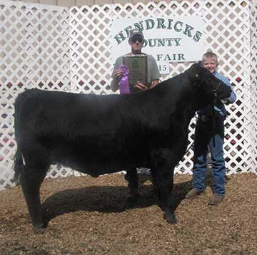 2015 Indiana State Fair 1st Place Flock & Premier Exhibitor shown by Roger Suffolks.