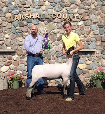 2015 Indiana State Fair 1st Place Flock & Premier Exhibitor shown by Roger Suffolks.