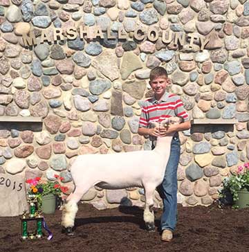 2015 Indiana State Fair 1st Place Flock & Premier Exhibitor shown by Roger Suffolks.