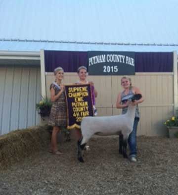 2015 Indiana State Fair 1st Place Flock & Premier Exhibitor shown by Roger Suffolks.