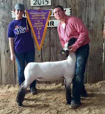 2015 Indiana State Fair 1st Place Flock & Premier Exhibitor shown by Roger Suffolks.