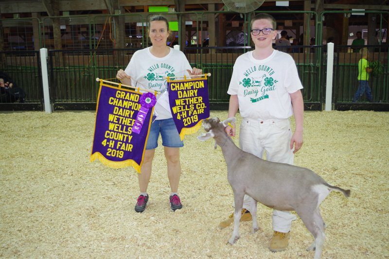 2019 County Fair