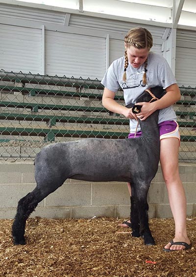 Highland County Fair