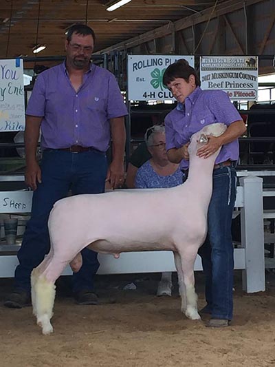 Hatfield Champion Dorset Ram_ Muskingum County Ohio Hainsley Hatfield.