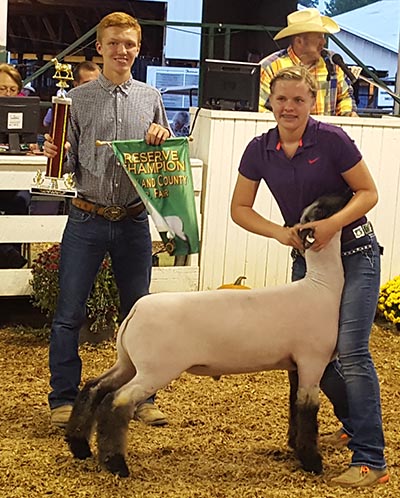 Reserve Middle Weight Highland Co Jr. Fair