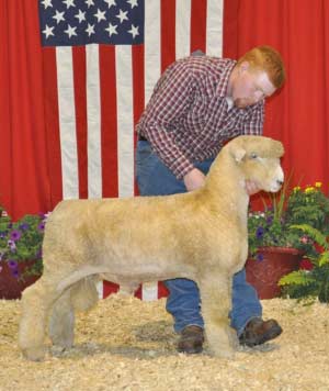 Sean Pence, 2010 All American Junior Show