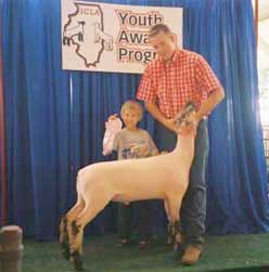 Crossbred Market Lamb